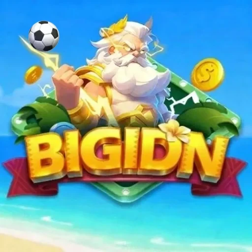 BIGIDN